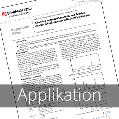 Vorschau der Applikation